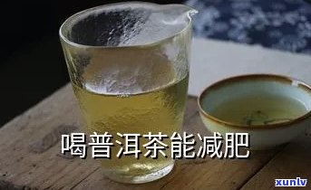 喝普尔茶能减肥吗?-喝普尔茶能减肥吗