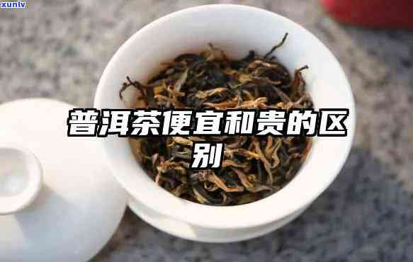 普通茶和贵茶的区别-普通茶和贵茶的区别在哪里