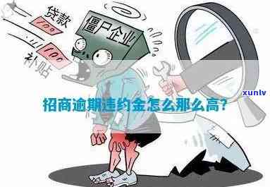 招商逾期违约金怎么那么高，探讨招商逾期违约金为何如此高昂？