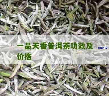 天普流香茶什么档次-天普流香茶叶怎么样