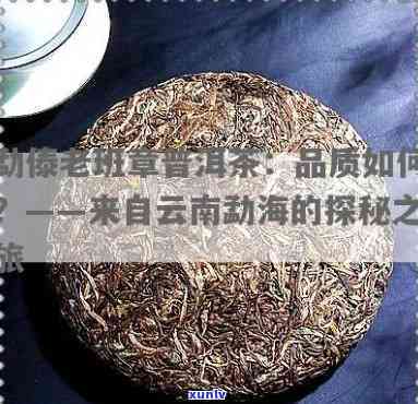 普洱茶8g泡法：需要多少水？合适比例是多少？