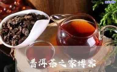 深圳普茶业焉家豪-深圳普茶业焉家豪简介