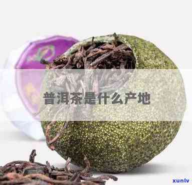 普尔茶的产地在哪里-普尔茶的产地在哪里啊