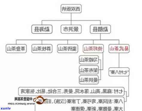 普尔茶的产地在哪里-普尔茶的产地在哪里啊