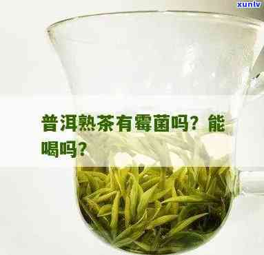 普尔茶上长菌能喝吗有吗，普洱茶上的霉菌是否能喝？是否有？