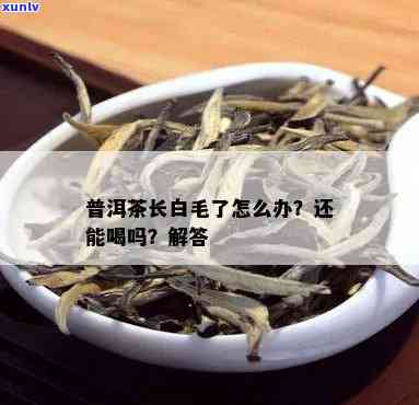 普尔茶长毛了还能喝吗？有无副作用？看图了解