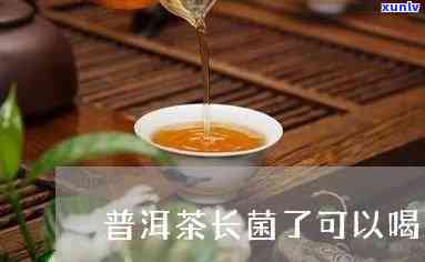 普尔茶上长菌能喝吗-普尔茶上长菌能喝吗有吗