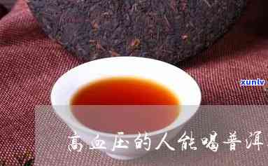 高血压人可以喝普洱茶吗，普洱茶适合高血压人群饮用吗？