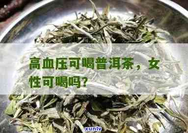 高血压能喝普洱茶吗？女性适用吗？