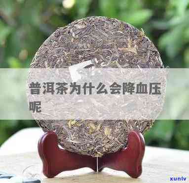 喝普尔茶能降血压吗为什么，普洱茶真的能降血压吗？起因解析