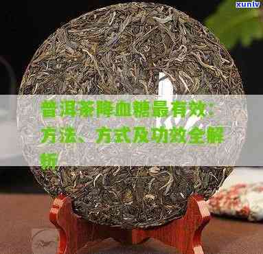 喝普洱茶能降血糖吗？了解其科学依据与效果