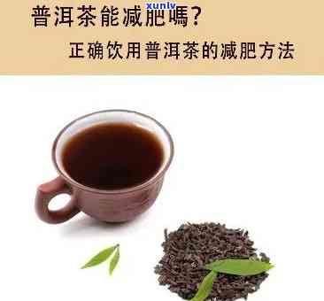 喝普洱茶能减肥吗？效果如何，会不会反弹？