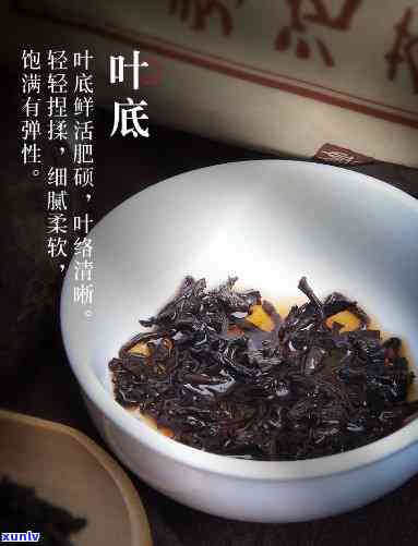 普秀沱茶2018年-普秀沱茶怎么样