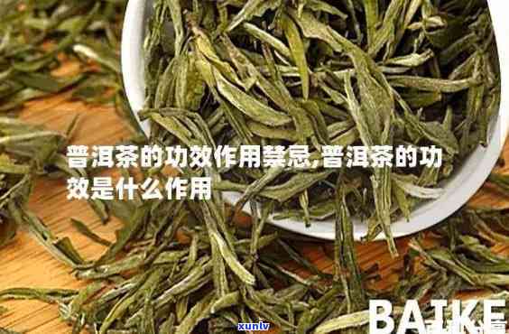 全面了解茶普钠的功效与作用及其禁忌