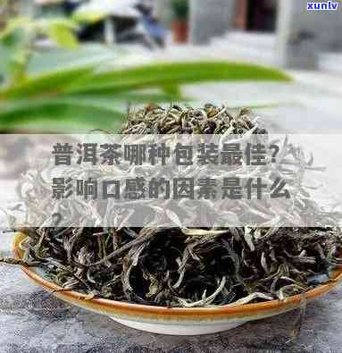 傣园普香的茶怎么样好喝吗，探秘傣园普香茶：口感如何，值得一试吗？