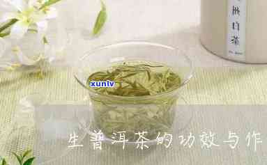 茶普生片的功能主治，全面解析：茶普生片的主要功效与治疗领域