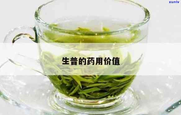 茶普生片的功能主治，全面解析：茶普生片的主要功效与治疗领域