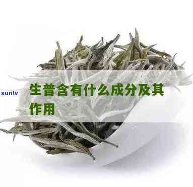 茶普生片的功能主治，全面解析：茶普生片的主要功效与治疗领域