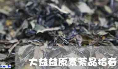 大益益原素茶晶的功效、介绍与口感解析