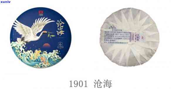 大益茶沧海现市场价：最新价格及1901年版本信息