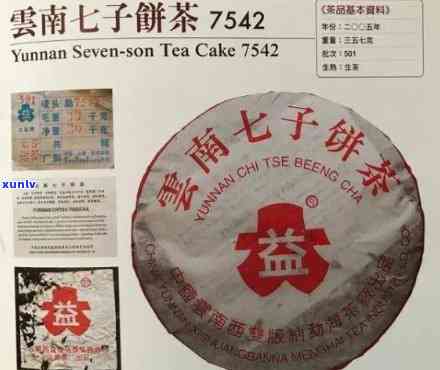 大益牛年7542：全面评测年度热销熟茶与7572的对比