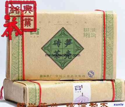 大益笋壳砖茶2007，品味历，感受经典：大益笋壳砖茶2007的韵味与魅力