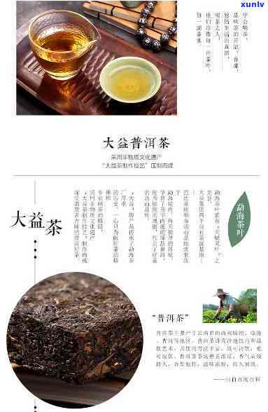 大益牌笋壳砖茶价格-大益牌笋壳砖茶价格多少