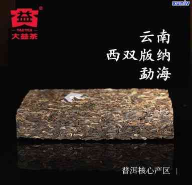 大益牌笋壳砖茶价格-大益牌笋壳砖茶价格多少