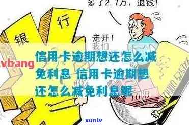 发银行逾期免息-发银行逾期免息政策