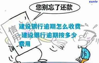 建设银行逾期收费规则详解：费用标准及合理性分析