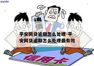 平安网贷逾期怎么解决，怎样解决平安网贷逾期疑问？