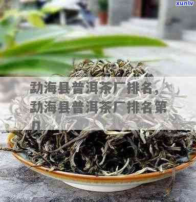 勐海茶厂都出什么茶-勐海茶厂都出什么茶叶