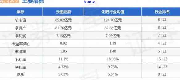 云瑞：探索云瑞集团及云瑞121最新动态