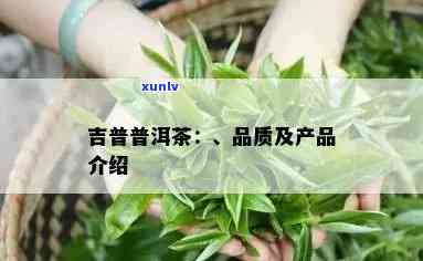 吉普号怎么样？茶叶质量如何？全面评测！