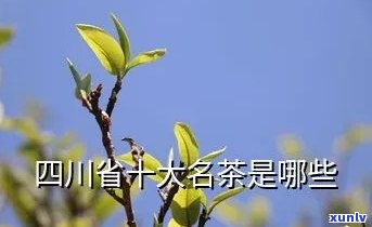 四川名茶的真实排名是多少，揭秘四川名茶真实排名！