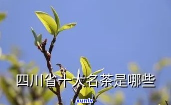 四川名茶的真实排名-四川名茶的真实排名是多少