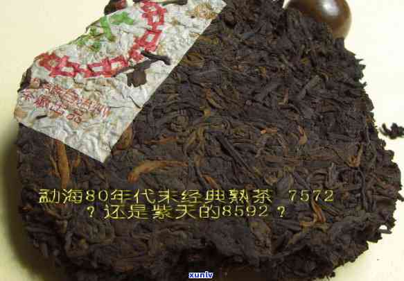 勐海茶厂绿大树特级品价格，【2023年最新价】勐海茶厂绿大树特级品普洱生茶7572（10饼/提） 易武木大树头春料 茶叶 正宗云南熟茶批发