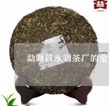 勐海县永明茶厂的产品，品味云南：探索勐海县永明茶厂的优质产品