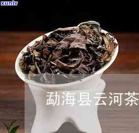 勐海县云河茶厂价格多少，了解勐海县云河茶厂的价格信息！