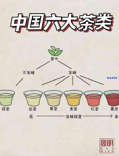 了解中国8大茶系：种类与图片全解析