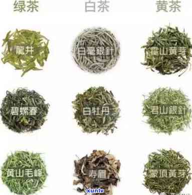 十大名茶种类全解析，包含图片展示