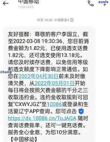 中国银行逾期未还款会怎么样，深入了解：中国银行逾期未还款的后果和影响