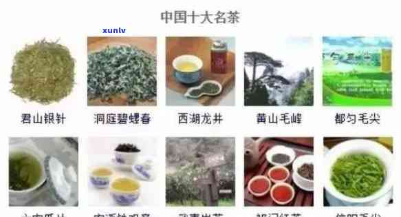 八大名茶是哪几种茶-八大名茶是哪几种茶 百度百科