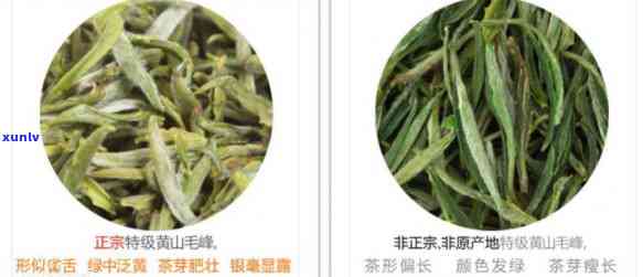 浙江名茶品种全览：名称与图片一网打尽