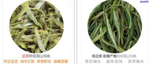 东名茶有哪些品种的，探寻东名茶：品种大全