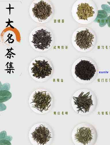 十大名茶哪个喝-十大名茶哪个喝知乎