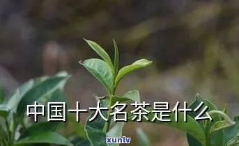 中国有哪10大名茶-中国有哪10大名茶指的是