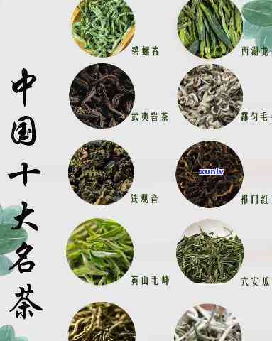 中国最贵的十大名茶是哪些，探秘中国：十大最昂贵的名茶排行榜