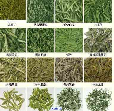 中国十大名茶种类全解析：分别是哪些茶类？