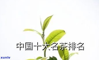 中国有十大名茶排名-中国有十大名茶排名榜吗